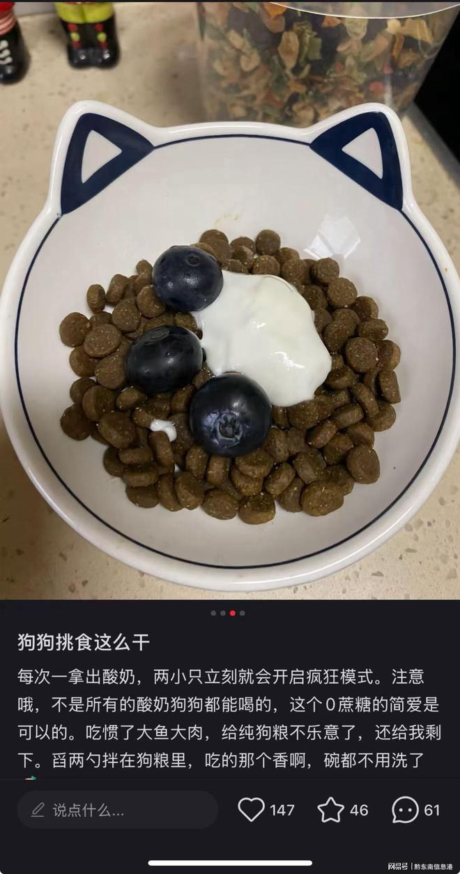 方”撬动萌宠经济与母婴信任双赛道CQ9传奇电子简爱酸奶以“纯净配(图3)