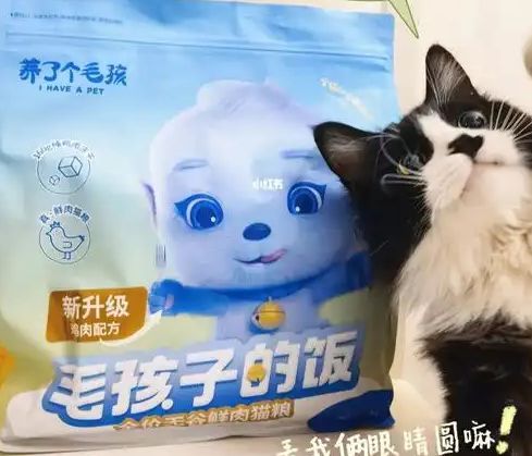 口粮！三只松鼠靠什么重返宠物食品赛道CQ9电子有限公司零食巨