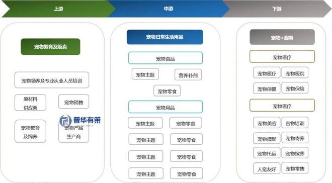 产业细分市场前景调研及趋势洞察报告CQ9电子2025-2031年宠物(图8)